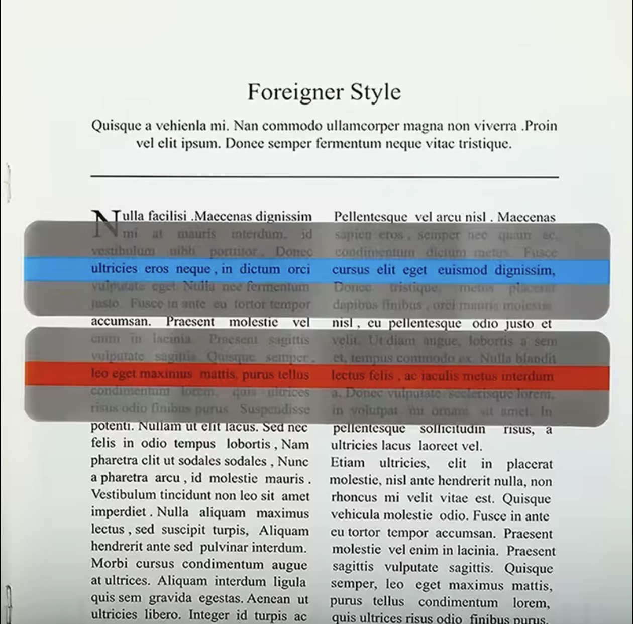 Reading Strip(Small) - Image 2