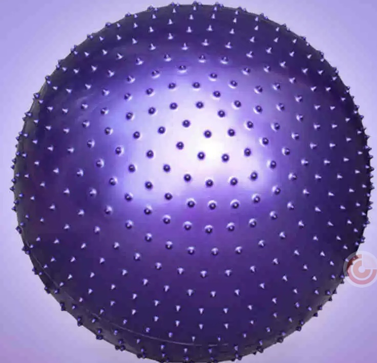 Tactile Therapy Ball