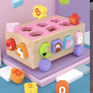 Sorting & Matching Block